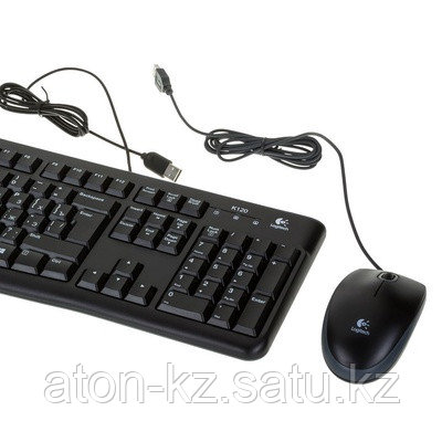 Комплект проводной клавиатура+ мышь Ritmix RKC-010 черный