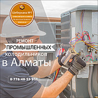 Ремонт и обслуживание охладителей молока Nemox Polair