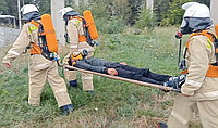 Услуга по организации пожарного поста без выездной техники3