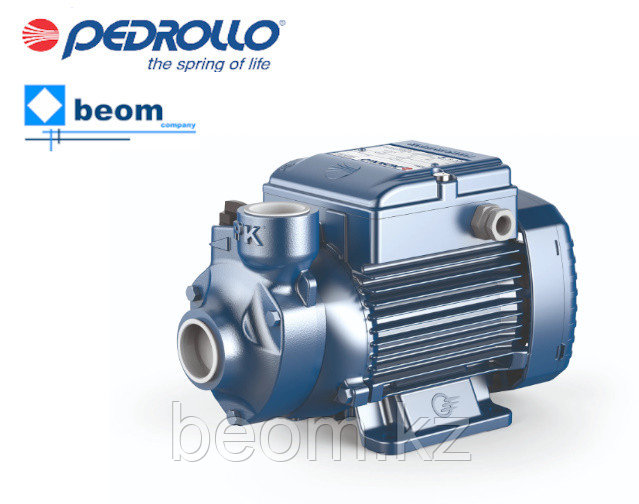 Вихревой насос Pedrollo PKm 200 (1.5кВт | 220В | от 0 до 4.8 м3/час | от 10 до 90 м Напор)