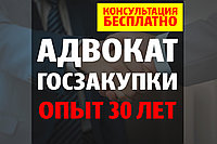 Адвокат по госзакупкам