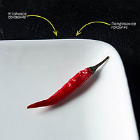 Блюдо прямоугольное Доляна White Label, 24,5×15,5 см, фарфор, цвет белый5