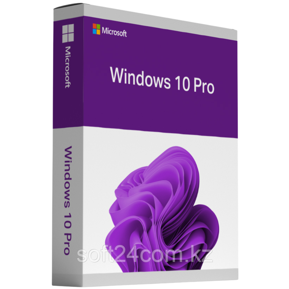 Windows 10 Professional .