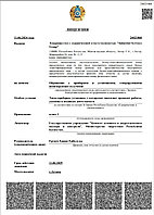 Лицензия по атомной энергетике4
