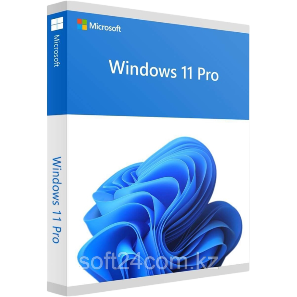 Windows 11 Professional