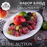 Блюдо овальное 30 см Royal Sutton TU1045-1 (набор 6шт) TUDOR