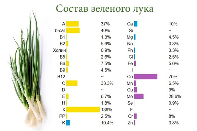Луковое счастье