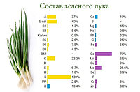 Луковое счастье5