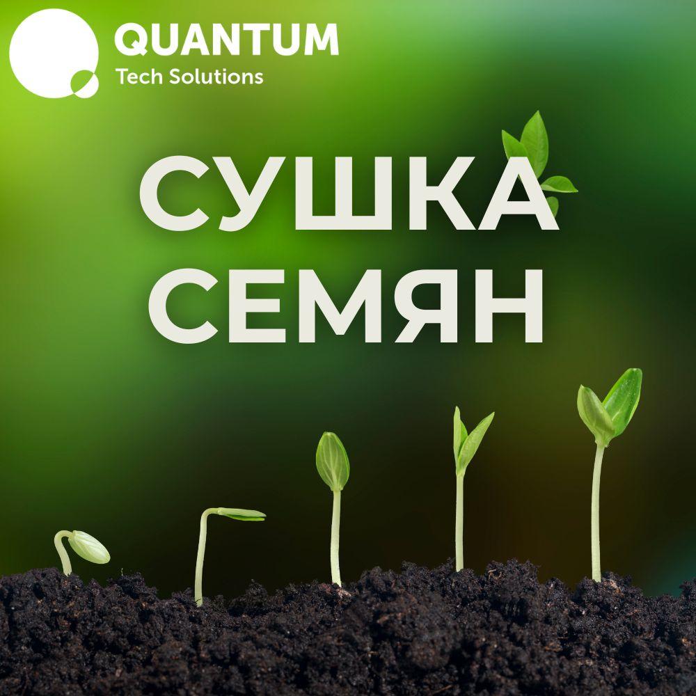 Услуги сушки посевных семян