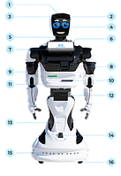 Учебный робототехнический комплекс Promobot