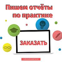 Отчет по практике + печать ТОО, ИП
