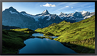 ЖК панель Samsung 55' OH55A-S