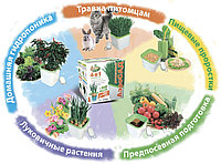 АэроСАД "Здоровья КЛАД Х1"1