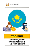 ТЭО (Технико-экономическое обоснование)