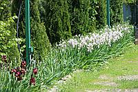 Беседка на 6-8 человек1