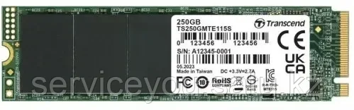 Жесткий диск SSD 250GB Transcend TS250GMTE115S
