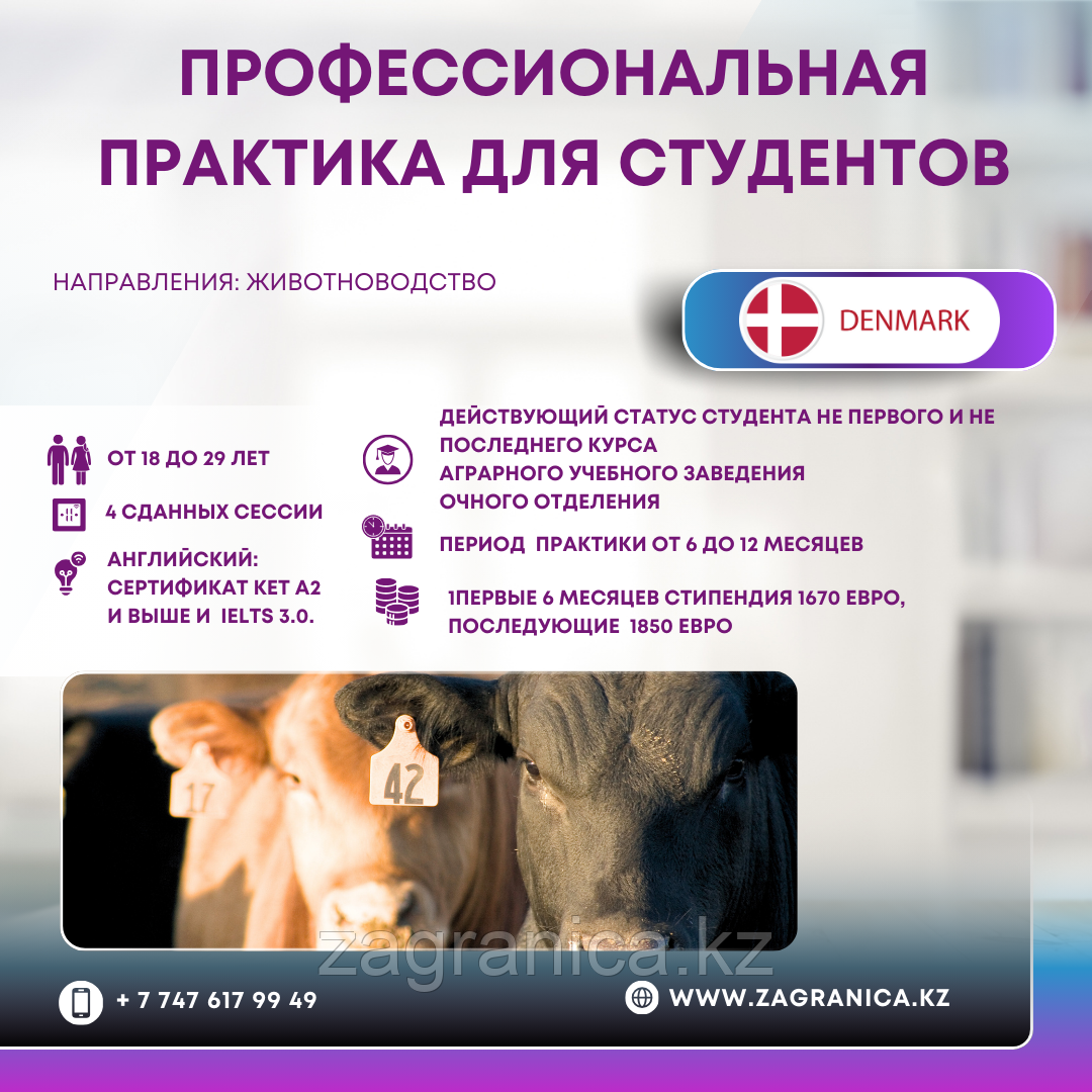 Дания: профессиональная практика для студентов очного отделения