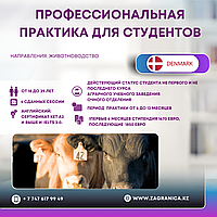 Дания: профессиональная практика для студентов очного отделения