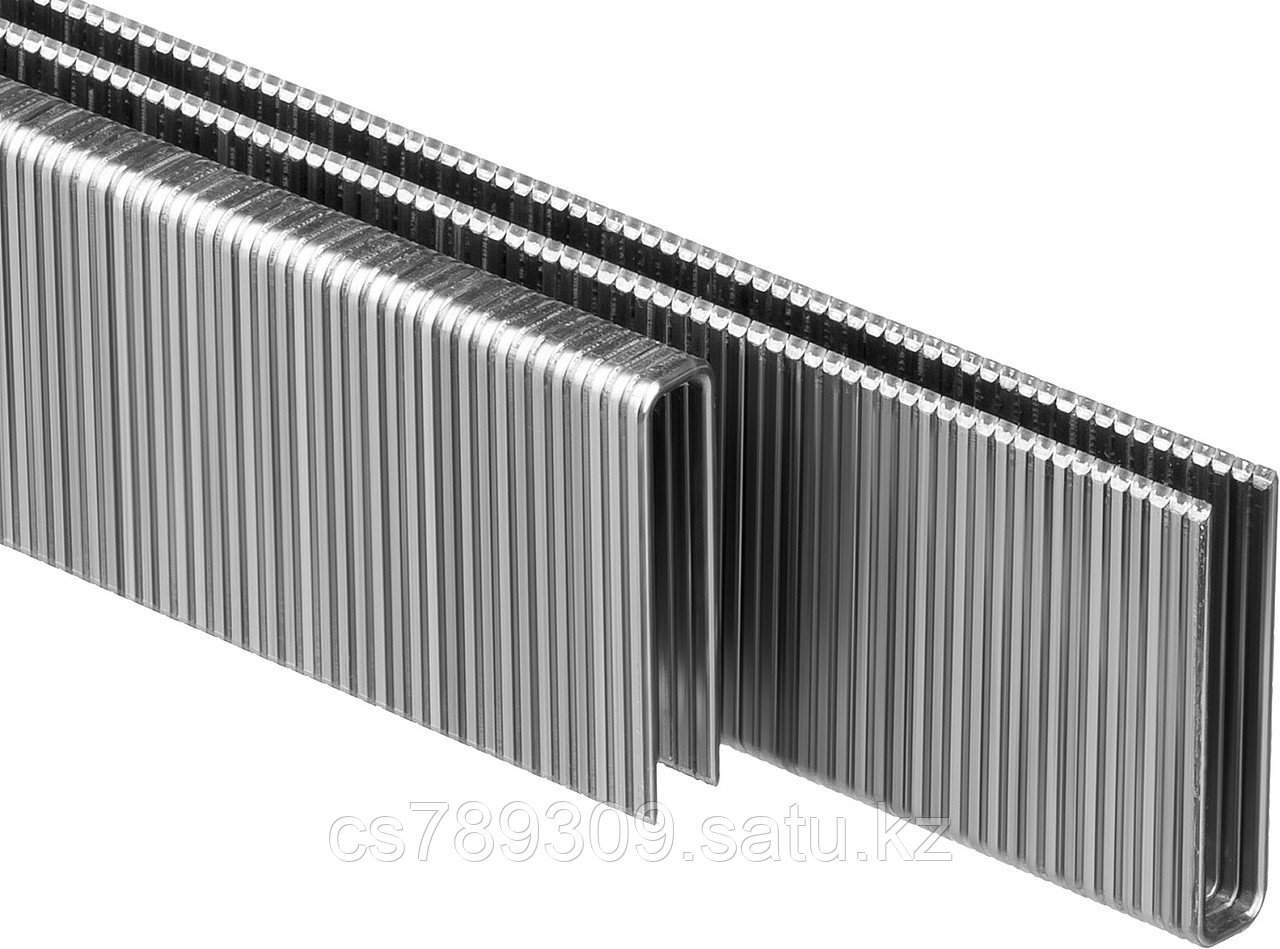 ЗУБР тип 18GA (55/90/C) 25 мм, 2500 шт, скобы для степлера, Профессионал (31855-25)