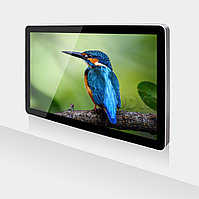 Аренда LED телевизора DDW AD4901-WN 49" (дюймов) c операционной системой Android1