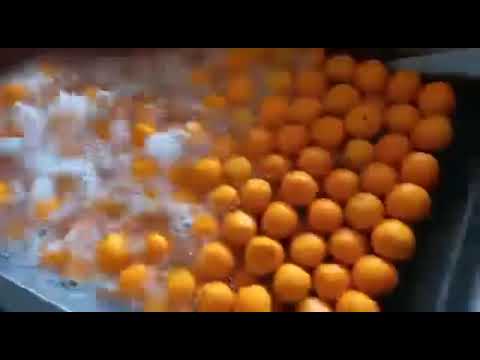 Конвейер для сортировки мойки и сушки фруктов и овощей5