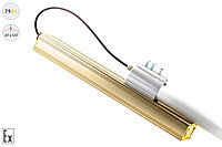 Магистраль Взрывозащищенная GOLD, консоль K-1, 79 Вт, 30X120°, светодиодный светильник4