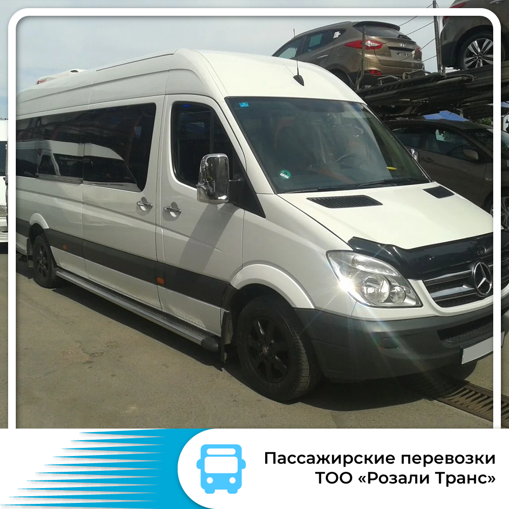 Встреча в аэропорту Алматы