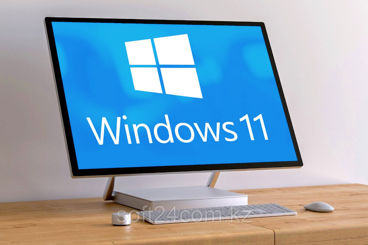Windows 11 Professional