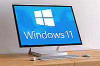 Windows 11 Professional1