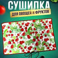 Сушилка-дегидратор электрическая для сухофруктов «Щедрый урожай» (55 х 85 см / Сердце)1