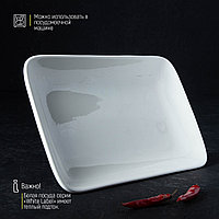 Блюдо прямоугольное Доляна White Label, 24,5×15,5 см, фарфор, цвет белый2