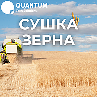 Услуга сушки зерна
