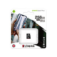 Карта памяти Kingston SDCS2/256GBSP Class 10 256GB без адаптера1