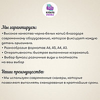 Копирование формат А6, А5, А4, А3 черно-белая и цветная1