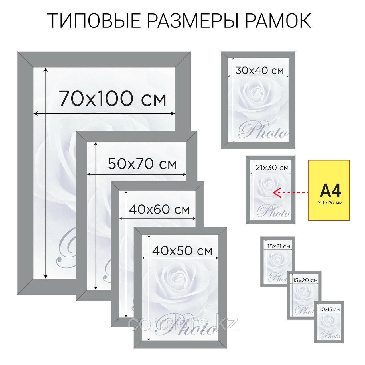 Рамка премиум 70х100 см, дерево, багет 26 мм, "Linda", орех, 0065-70-0006