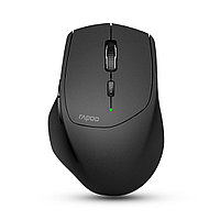 Компьютерная мышь Rapoo MT5501