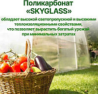 Сотовый поликарбонатный лист прозрачный Skyglass 2100х12000х10 мм1