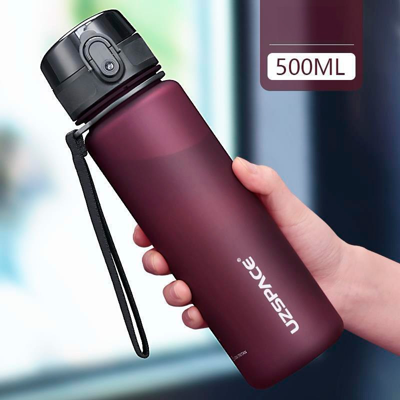 Бутылка для напитков UZSPACE 3026 500ML