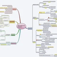 ΠΠΎΠΌΠΏΡΡΡΠ΅ΡΠ½ΡΠΉ ΠΊΡΡΡ MindJet (Mind manager)2