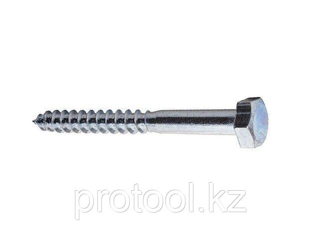 Шуруп 10х70 мм шестигр. головка, цинк, DIN 571 (600 шт в коробе) STARFIX (STARFIX) (SM-63741-600)