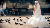 Фотосессии, видеосъёмка, инстаграм, ролики, аэросъемка, прочее. В Алматы и алматинской области.7