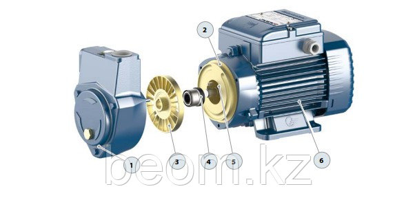 Самовсасывающий насос Pedrollo CKm 50BP с байпасом (0.25кВт | 220В | от 0 до 2.4 м3/час | от 5 до 20 м Напор)