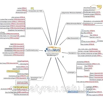ΠΠΎΠΌΠΏΡΡΡΠ΅ΡΠ½ΡΠΉ ΠΊΡΡΡ MindJet (Mind manager)