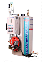 Паровой газовый котел SEKWANG BOILER SEK 500 + горелка SG 35