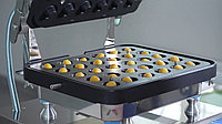 Тарталетница Pavoni NEWCOOKMATIC PAV1