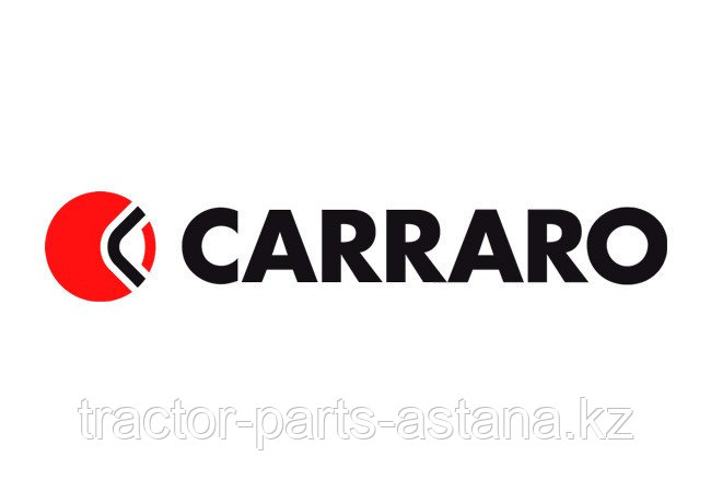 132267 Шайба CARRARO
