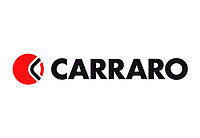 132267 Шайба CARRARO