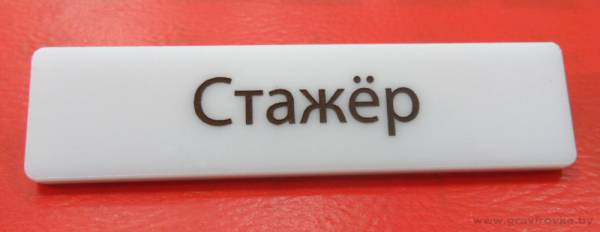 Бейджи