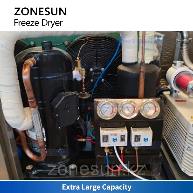 ZONESUN ZS-FD650 Промышленная сублимационная сушилка Вакуумная коммерческая сушилка