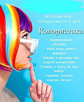 Колористика обучение